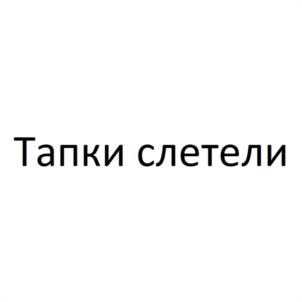 Товарный знак №1167306, принадлежит организации Общество с ограниченной ответственностью "ИЗУМРУД", ОГРН 1082366006513, ИНН 2318036080