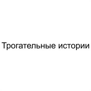 Товарный знак №1169283, принадлежит организации Общество с ограниченной ответственностью "СЧАСТЬЕ ВНУТРИ", ОГРН 1187627009272, ИНН 7604341292