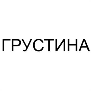 Товарный знак №1171229, принадлежит организации Общество с ограниченной ответственностью "ГРУСТИНА", ОГРН 1257000003259, ИНН 7000026072