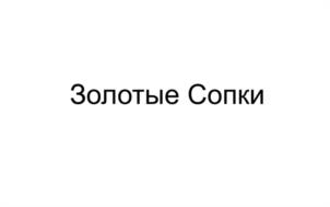 Товарный знак №1172674, принадлежит организации Публичное акционерное общество "Группа компаний "Самолет", ОГРН 1187746590283, ИНН 9731004688