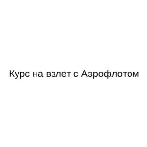 Товарный знак №1172804, принадлежит организации Публичное акционерное общество «Аэрофлот-российские авиалинии», ОГРН 1027700092661, ИНН 7712040126