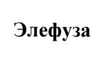 Товарный знак №1173163, принадлежит организации Общество с ограниченной ответственностью "НПО Петровакс Фарм", ОГРН 1037700012745, ИНН 7702302492