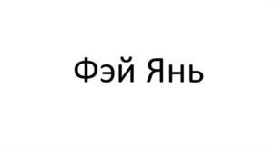 Товарный знак №1175114, принадлежит организации Общество с ограниченной ответственностью «Фэй Янь», ОГРН 1165476173543, ИНН 5402024297