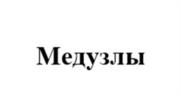 Товарный знак №1175614, принадлежит организации ОБЩЕСТВО С ОГРАНИЧЕННОЙ ОТВЕТСТВЕННОСТЬЮ "ЦИФРОВАЯ КОМПАНИЯ", ОГРН 1146685029424, ИНН 6685069499