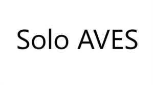 Товарный знак №1175981, принадлежит организации Общество с ограниченной ответственностью «ОНКОДИАГНОСТИКА АТЛАС», ОГРН 1115476059401, ИНН 5408287687