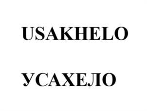 Товарный знак №1176043, принадлежит организации Общество с ограниченной ответственностью «Потише», ОГРН 1207800058201, ИНН 7810794403
