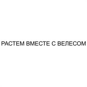 Товарный знак №1176139, принадлежит организации Некоммерческая организация "ФОНД ПОМОЩИ ЖИВОТНЫМ "ВЕЛЕС", ОГРН 1144700000730, ИНН 4705470860