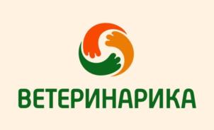 Товарный знак №1176742, принадлежит правообладателю Васильев Дмитрий Владимирович, ОГРН 0, ИНН 781704466022