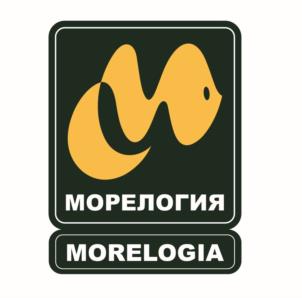 Товарный знак №1178056, принадлежит ИП Высоцкий Константин Валерьевич, ОГРНИП 322508100284882, ИНН 253714147097
