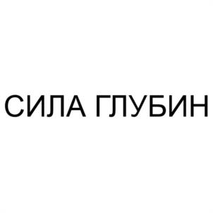 Товарный знак №1178254, принадлежит организации Общество с ограниченной ответственностью "ВСЕЛЕННАЯ", ОГРН 1245400003782, ИНН 5402081707