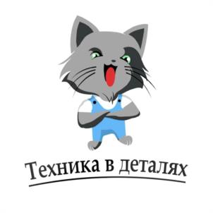 Товарный знак №1179598, принадлежит организации Общество с ограниченной ответственностью "ТЕХНИКА В ДЕТАЛЯХ", ОГРН 1153668053659, ИНН 3664211011