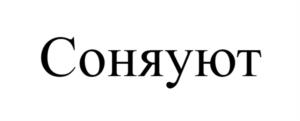 Товарный знак №1179608, принадлежит организации Общество с ограниченной ответственностью "ДАРТЕКС", ОГРН 1215000015086, ИНН 5029260917