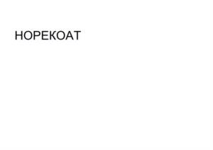 Товарный знак №1180024, принадлежит организации Общество с ограниченной ответственностью «Нор-Маали», ОГРН 1156027003736, ИНН 6037007204