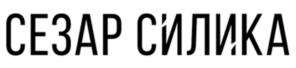 Товарный знак №1180604, принадлежит организации Общество с ограниченно ответственностью «СЕЗАР ГРУПП», ОГРН 1127747010929, ИНН 7718904164