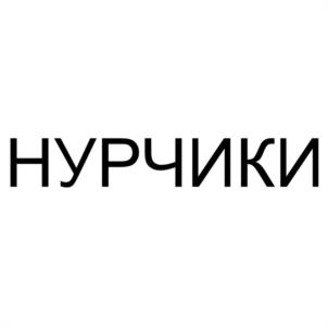 Товарный знак №1181292, принадлежит организации Общество с ограниченной ответственностью "НУР", ОГРН 1181513007422, ИНН 1510018504