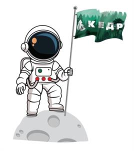 Товарный знак №1184552, принадлежит организации Общество с ограниченной ответственностью "КЕДР МК", ОГРН 1093668007762, ИНН 3662141400