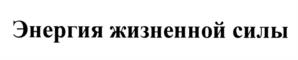 Товарный знак №1185226, принадлежит ИП Руденко Михаил Юрьевич, ОГРНИП 325619600189174, ИНН 615401893360