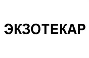 Товарный знак №1185969, принадлежит организации Общество с ограниченной ответственностью «Экзо Групп», ОГРН 1236300003356, ИНН 6320073224