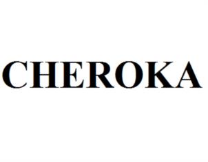 Товарный знак №1186707, принадлежит организации Акционерное общество "Черока", ОГРН 1027103671220, ИНН 7111009749