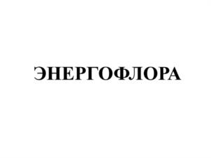 Товарный знак №1187900, принадлежит организации Общество с ограниченной ответственностью "ЭНЕРГОФЛОРА", ОГРН 1257700262302, ИНН 9704261541