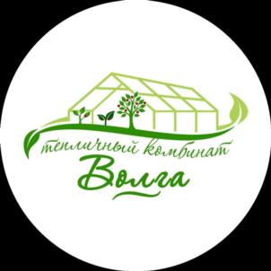 Товарный знак №1189240, принадлежит организации Акционерное общество "Волга", ОГРН 1076439000274, ИНН 6439064386