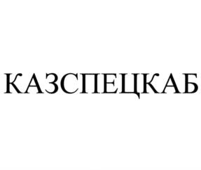 Товарный знак №1191334, принадлежит организации Общество с ограниченной ответственностью НПП "Спецкабель", ОГРН 1027739312281, ИНН 7701165130