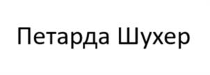 Товарный знак №1191982, принадлежит организации Общество с ограниченной ответственностью "Салют Юг", ОГРН 1152651022358, ИНН 2630029475