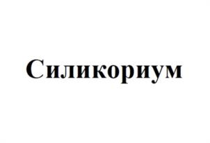 Товарный знак №1193261, принадлежит ИП Карапетян Георгий Эдуардович, ОГРНИП 322784700158800, ИНН 246311885870