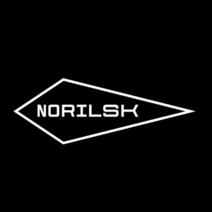 Товарный знак №1198408, принадлежит организации Автономная некоммерческая организация "АГЕНТСТВО РАЗВИТИЯ НОРИЛЬСКА", ОГРН 1172468026411, ИНН 2457082197