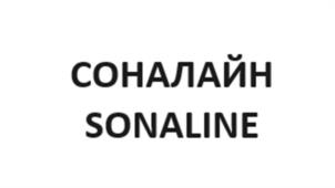 Товарный знак №1199175, принадлежит организации ОБЩЕСТВО С ОГРАНИЧЕННОЙ ОТВЕТСТВЕННОСТЬЮ "РУБИН", ОГРН 1155246000634, ИНН 5246047456