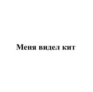 Товарный знак №1201749, принадлежит организации Общество с ограниченной ответственностью «ПОНАЕХАЛИ», ОГРН 1195190003910, ИНН 5190081389