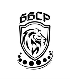 Товарный знак №1201997, принадлежит организации Общество с ограниченной ответственностью "ТД ББС-Рус", ОГРН 1205000011094, ИНН 5009122475