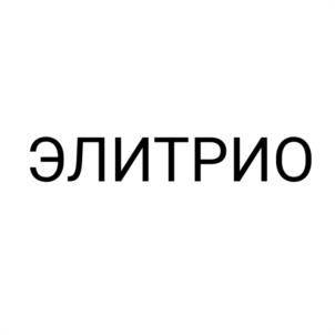 Товарный знак №1202069, принадлежит организации Общество с ограниченной ответственностью «ВАЛЬМОНТ», ОГРН 1237800031171, ИНН 7814820559