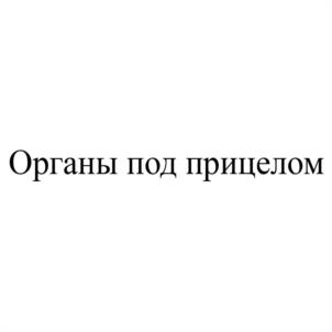Товарный знак №1203687, принадлежит организации Общество с ограниченной ответственностью «СВ Хоум», ОГРН 1217600019042, ИНН 7604380862