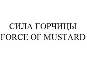 Товарный знак №1204860, принадлежит организации Общество с ограниченной ответственностью «Производственная компания «МЭТР», ОГРН 1095010001272, ИНН 5078018732