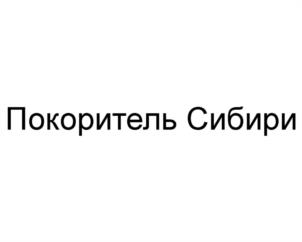Товарный знак №1206123, принадлежит организации Общество с ограниченной ответственностью "СИББИР", ОГРН 1230100003440, ИНН 100007151