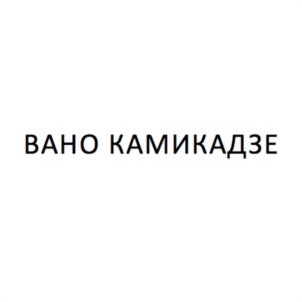 Товарный знак №1208684, принадлежит организации Общество с ограниченной ответственностью "Агентство Кауфман", ОГРН 1127747052113, ИНН 7708772688