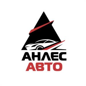 Товарный знак №1208810, принадлежит организации Общество с ограниченной ответственностью "Научно-производственная фирма "АНЛЕС", ОГРН 1177847376684, ИНН 7802642478