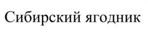 Товарный знак №1211475, принадлежит организации Общество с ограниченной ответственностью «ВС-ГРУПП», ОГРН 1146952009918, ИНН 6950182014