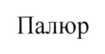Товарный знак №1211969, принадлежит организации Общество с ограниченной ответственностью "Арматуростроительная компания "Палюр", ОГРН 1115902011830, ИНН 5902883152