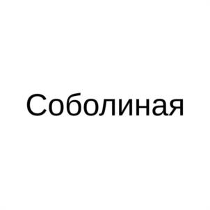 Товарный знак №1212046, принадлежит организации Общество с ограниченной ответственностью "РЕГИОН 50", ОГРН 1155029007330, ИНН 5029200812