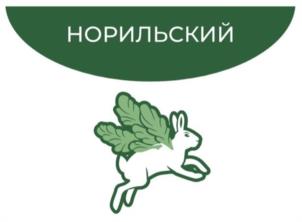 Товарный знак №1214323, принадлежит организации Общество с ограниченной ответственностью «СеверТехноСклад», ОГРН 1152457000410, ИНН 2457078546