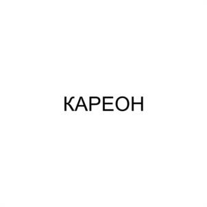 Товарный знак №1218339, принадлежит организации ОБЩЕСТВО С ОГРАНИЧЕННОЙ ОТВЕТСТВЕННОСТЬЮ "КАРЕОН", ОГРН 1149102085593, ИНН 9102043546