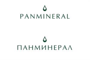 Товарный знак №1218381, принадлежит организации ОБЩЕСТВО С ОГРАНИЧЕННОЙ ОТВЕТСТВЕННОСТЬЮ "ПАН ИНТЕР", ОГРН 1062628011819, ИНН 2628047572