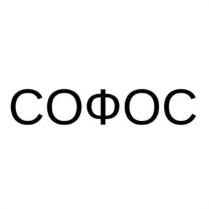 Товарный знак №1219214, принадлежит организации Общество с ограниченной ответственностью "СОТИ ГРУПП", ОГРН 1257700409581, ИНН 7743477445