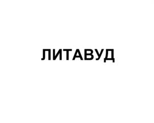 Товарный знак №1220831, принадлежит организации Общество с ограниченной ответственностью Группа компаний "Литум", ОГРН 1236600009887, ИНН 6685208470