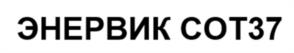 Товарный знак №1221337, принадлежит организации Общество с ограниченной ответственностью "ЭНЕРВИК", ОГРН 1067746653006, ИНН 7716550150