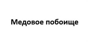 Товарный знак №1221510, принадлежит организации Акционерное общество «ВЕКТОР», ОГРН 1237700362294, ИНН 9721207128