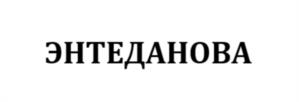 Товарный знак №1222350, принадлежит организации Акционерное общество "БИНЕРГИЯ", ОГРН 1075001003175, ИНН 5001062880
