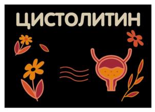 Товарный знак №1224117, принадлежит организации Общество с ограниченной ответственностью "ПАРАФАРМ", ОГРН 1025801210170, ИНН 5835022236